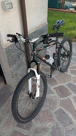 MTB L Frw big bear, axon, stroker ryde, alluminio 