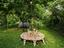 Immagine 17