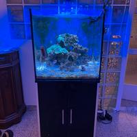 Vasca acquario vuota piu sump