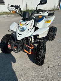 Quadriciclo Shineray 250 stxe 2010