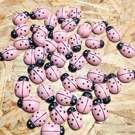 Set di 10 coccinelle di legno rosa con biadesivo