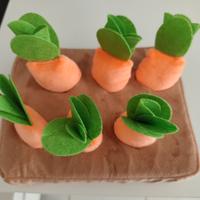 Gioco cani interattivo 