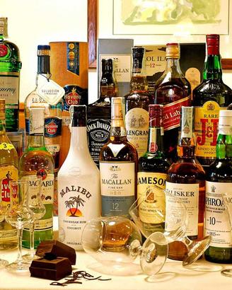 Liquori whisky cognac armagnac brandy mignon grapp