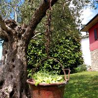 Paiolo in rame