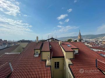 Appartamento bilocale, zona Cavana