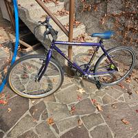 bici adulto