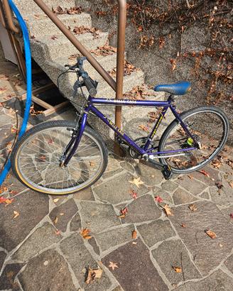 bici adulto