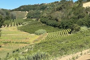 Abitazione - Vigneti - Cantina - Panorama -
