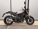 benelli-leoncino-800