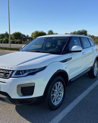 RANGE ROVER EVOQUE 2.0 TD4 150 CV 5p. Pure