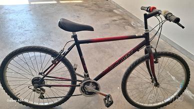 MOUNTAIN BIKE