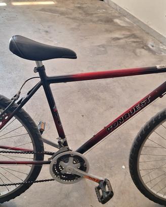 MOUNTAIN BIKE