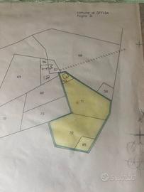 Terreno e casa colonica nel comune di OFFIDA (AP)