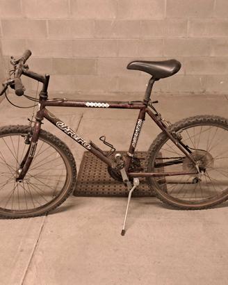 Bicicletta Frera