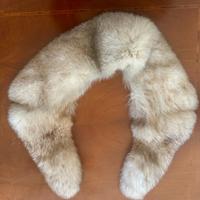 Collo di Volpe Argentata - Bianco