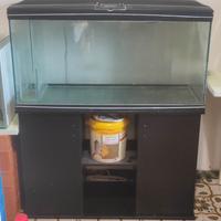 acquario 