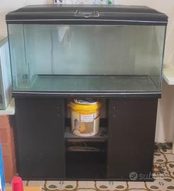 acquario 