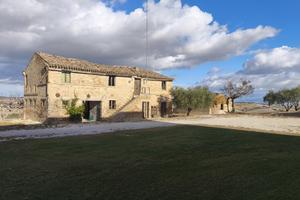 Tenuta agricola panoramica con casa singola e ampi