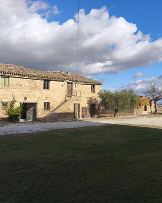 Tenuta agricola panoramica con casa singola e ampi