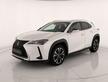 Lexus UX 250h 2.0 premium 4wd cvt