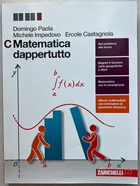Libro Zanichelli Matematica dappertutto C
