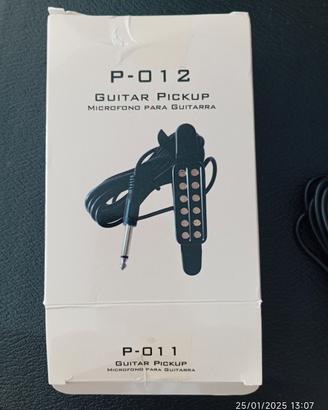 Guitar Pickup