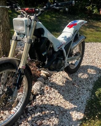 Beta synt 260