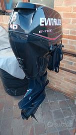 Evinrude E-TEC 40 60 Cv