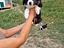 Immagine 30