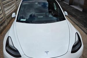 TESLA Model 3 - 2021