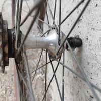 Cerchi Bicicletta 