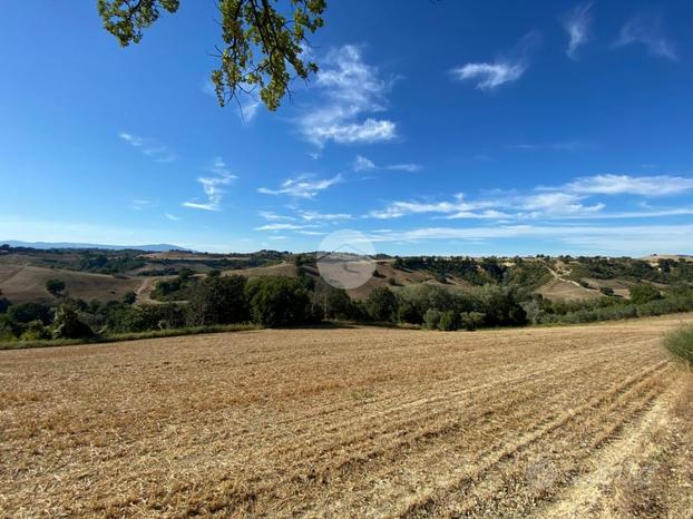 TER. RESIDENZIALE A MONTEBUONO