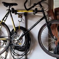 Vecchia Bianchi Aspid