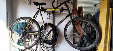 Vecchia Bianchi Aspid