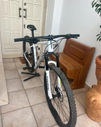 rockrider race 700