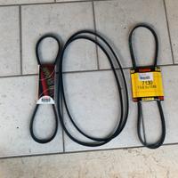 cinghie trasmissione