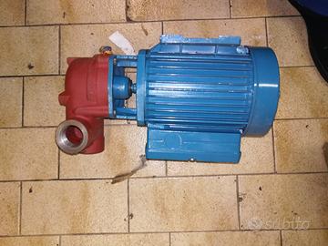 Elettropompa calpeda cam 90