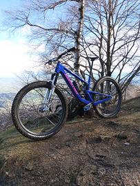 Santa cruz tallboy C