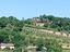 Immagine 22