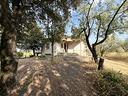 villa-singola-castel-sant-elia