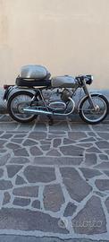 Guzzi stornello sport