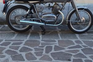 Guzzi stornello sport