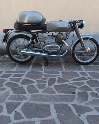 Guzzi stornello sport