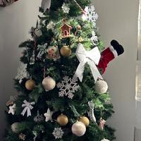Albero di Natale 210 cm
