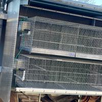 Gabbie da cova da 120