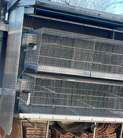 Gabbie da cova da 120