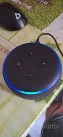 alexa echo dor 