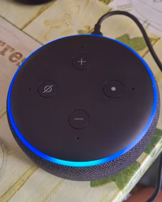 alexa echo dor 