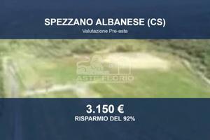 Immobile in asta di 17980 m² a Spezzano Albanese