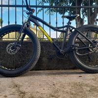 Fat bike